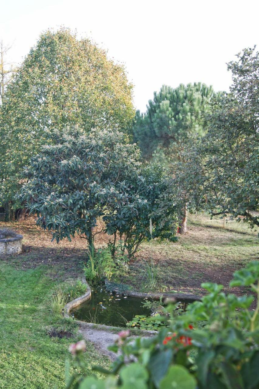 Le Grenier De Louisette Bed & Breakfast Libourne Dış mekan fotoğraf